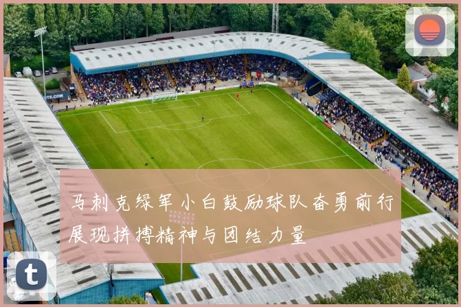 马刺克绿军小白鼓励球队奋勇前行展现拼搏精神与团结力量